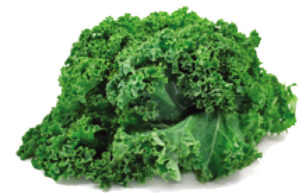 Nutrients in kale