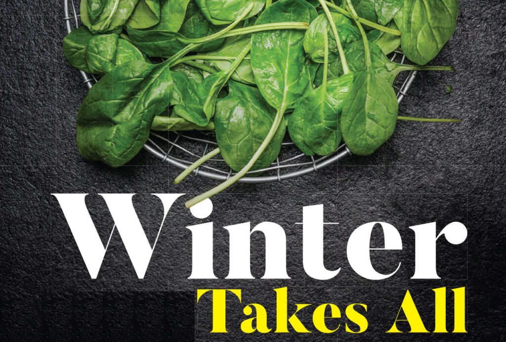 in-season vegetables in winters
