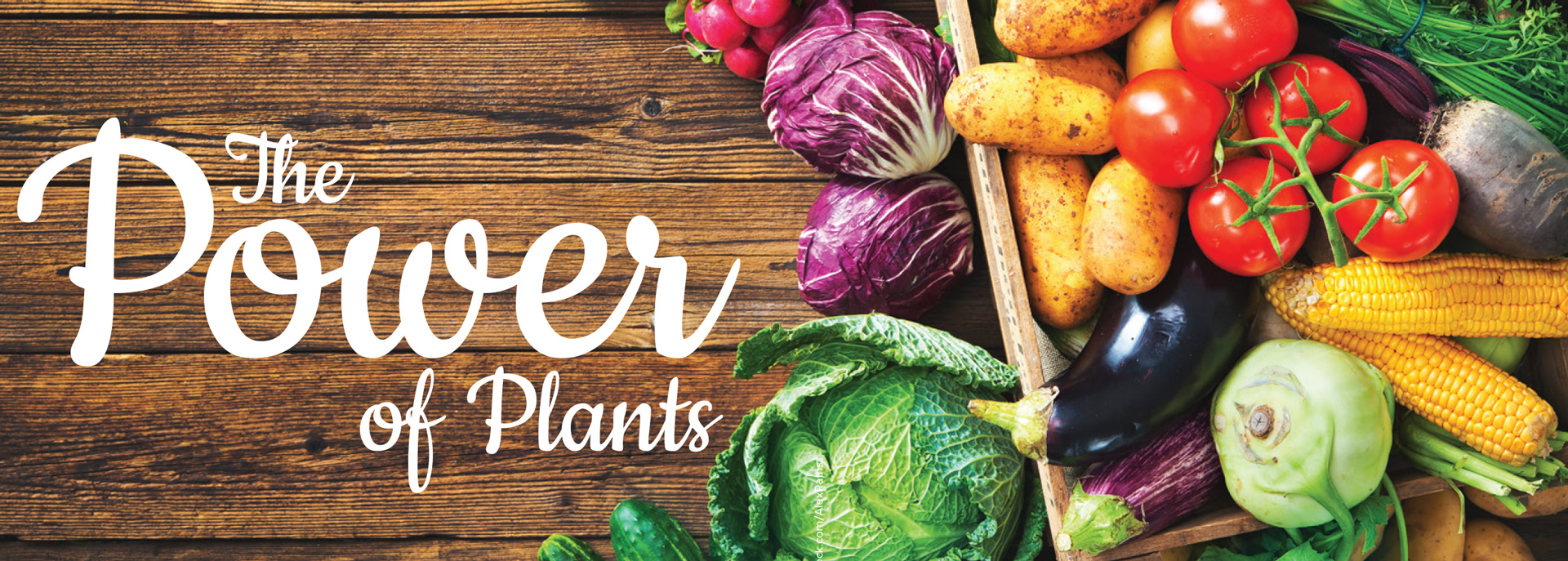 Assorted vegetables on a wooden surface beside the heading The Power of Plants.