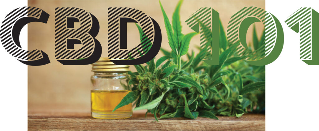 Jar of golden oil and green cannabis leaves beneath the heading CBD 101.