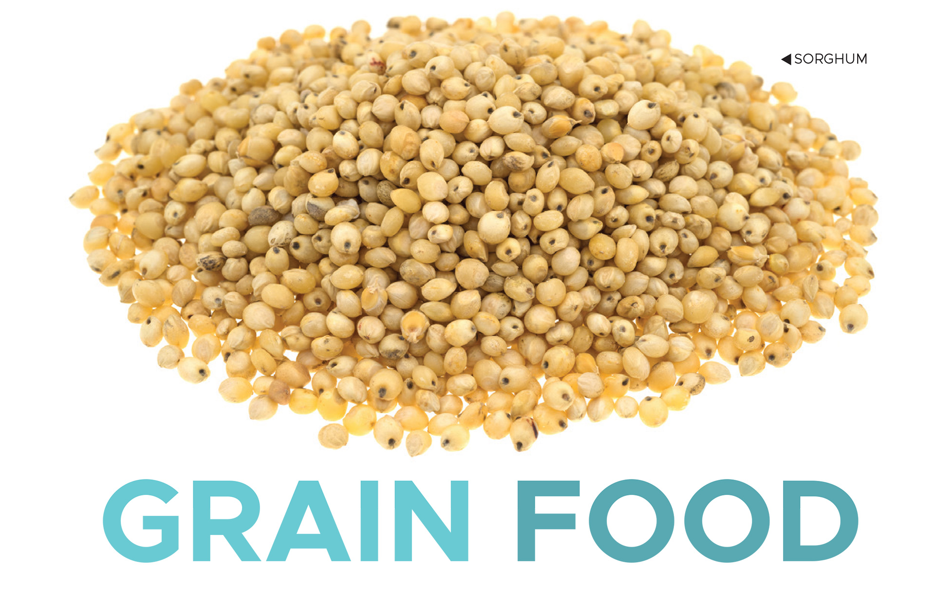 Pile of small golden grains above the heading “Grain Food”.