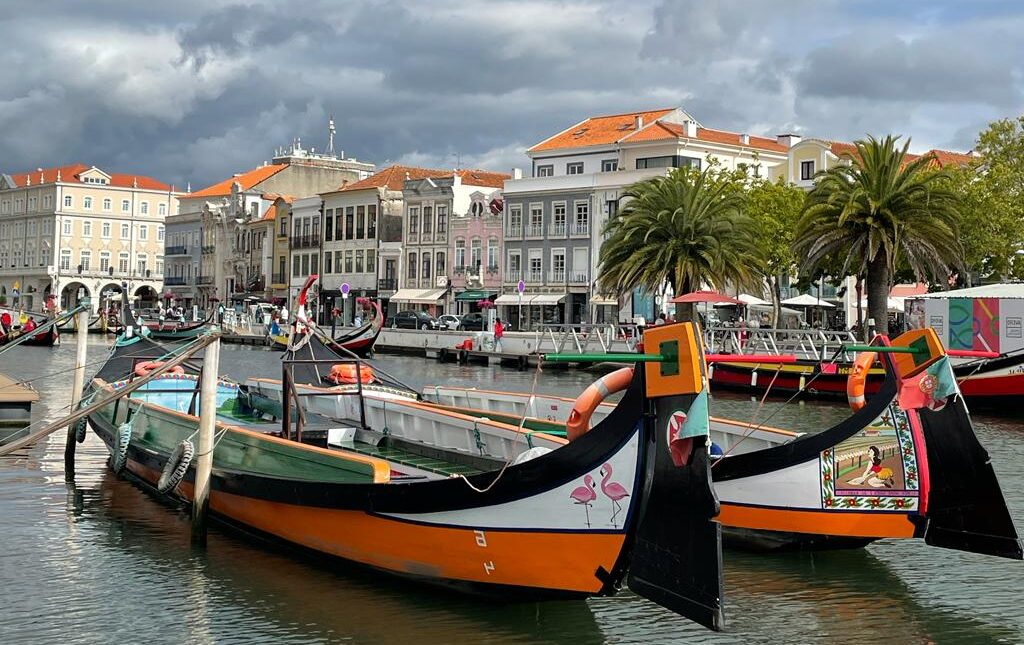 Colourful traditional boats moored beside palm trees and waterfront buildings in Portugal.