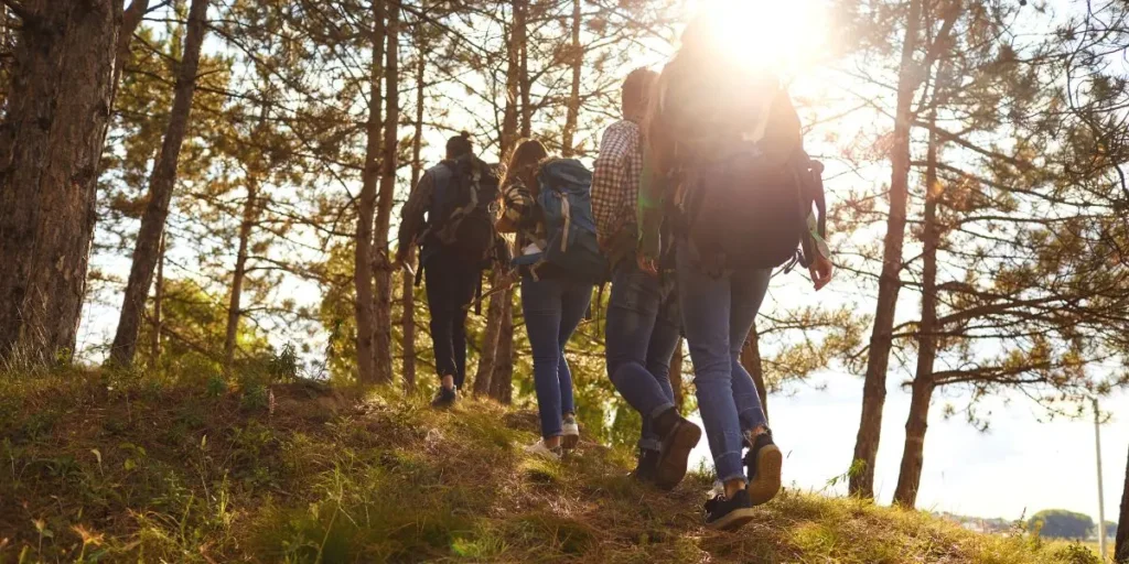 Four people hiking uphill through a forested area with sunlight filtering through the trees, carrying backpacks.